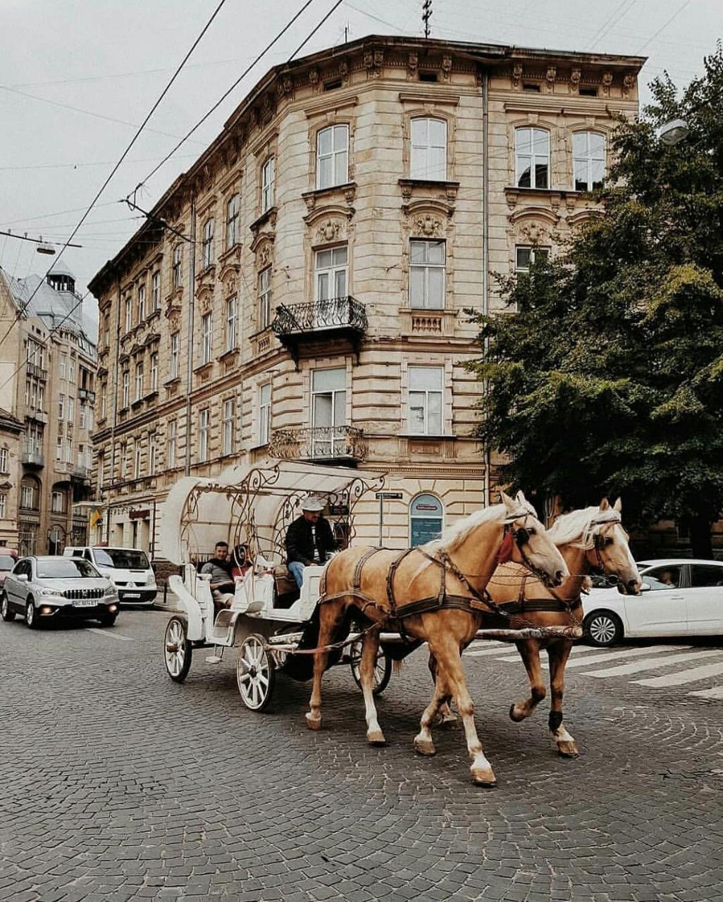 Staroevreyskaapart Lviv Kültér fotó